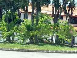 Cluny Road (D10), Detached #460731451